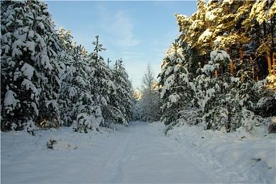 《开炮吧方舟》拓宽类幸存者游戏生存策略，传奇船员助力玩家生存